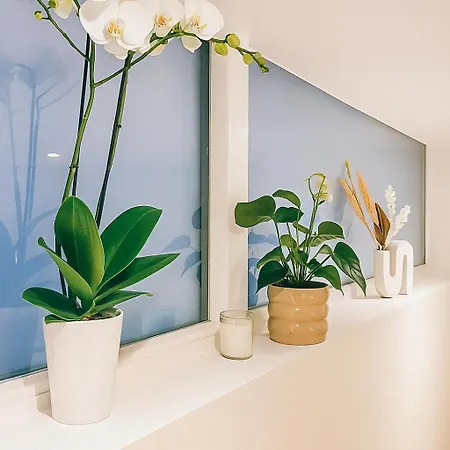 Le Ptit Saint Florent - Indépendant&spa Strasburgo