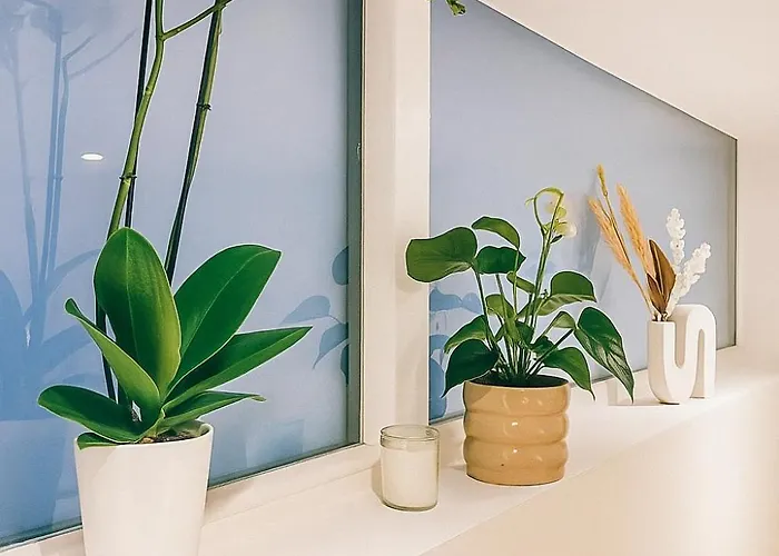 Le Ptit Saint Florent - Independant & Στρασβούργο